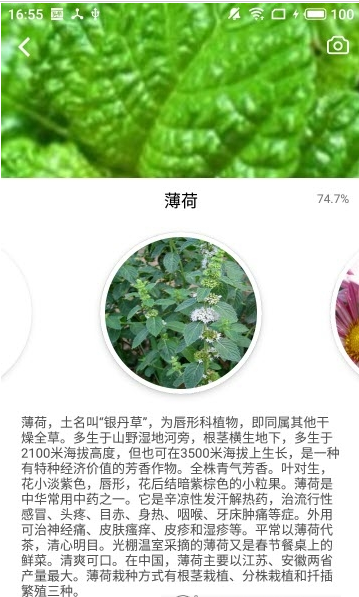 森林百科app